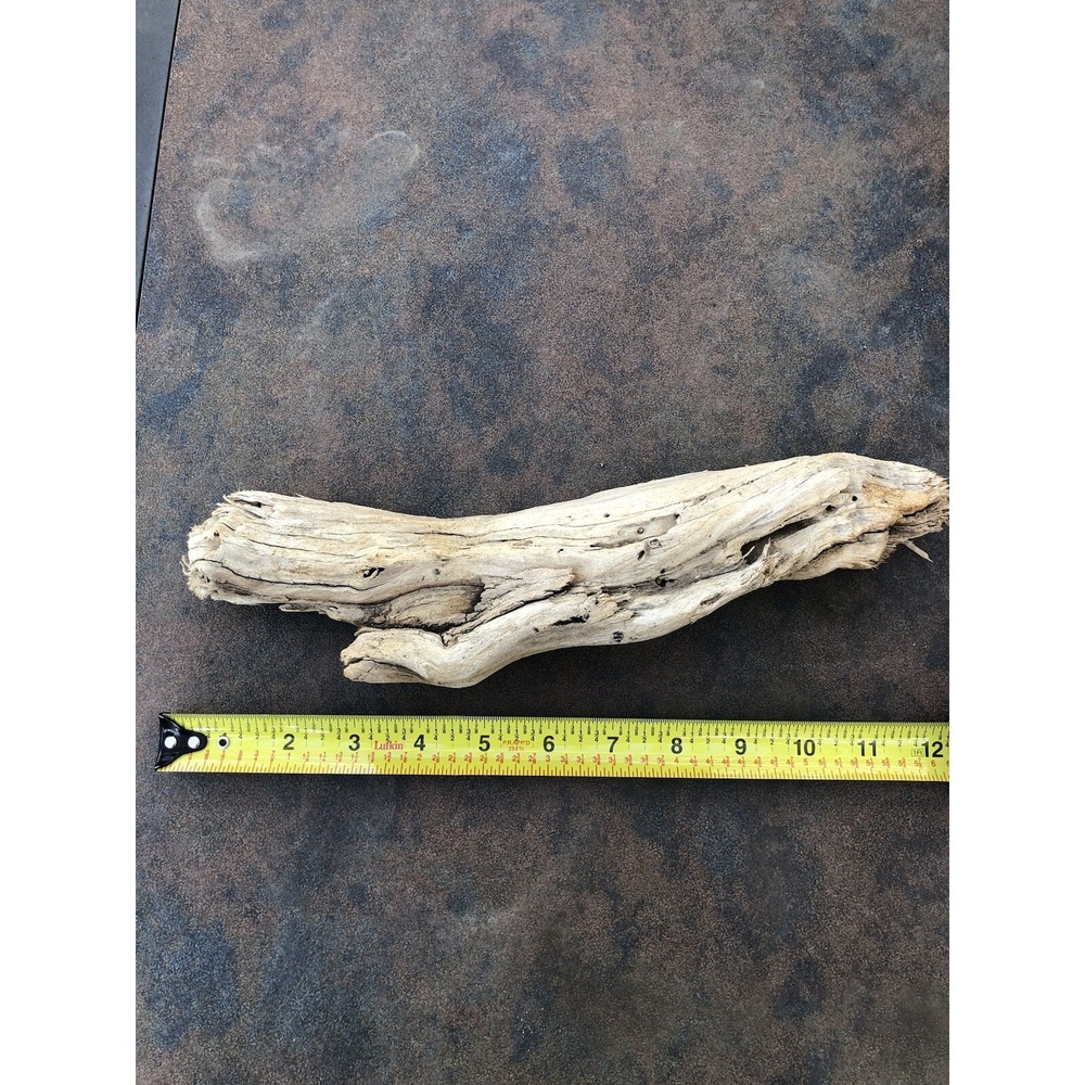 Natural Driftwood for Plants Terrarium Taxidermy Art Projects - Picture 2 of 7